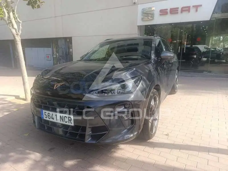 2025 Cupra Other