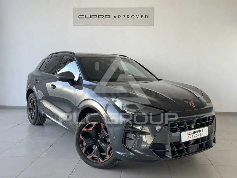 2025 Cupra Other