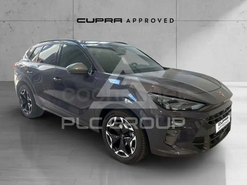 2025 Cupra Other