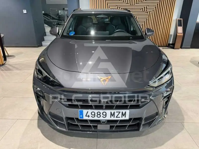 2025 Cupra Other