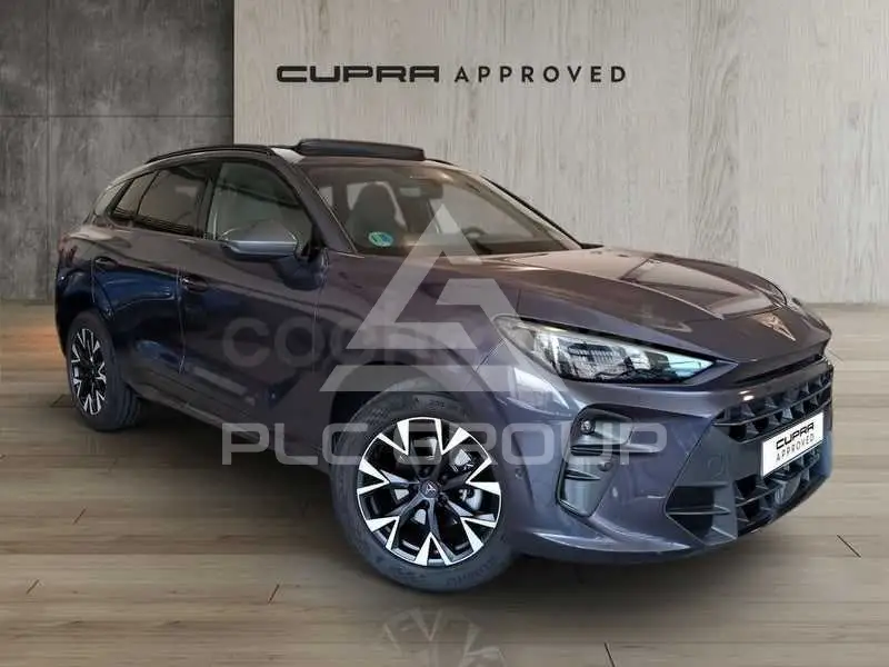 2025 Cupra Other