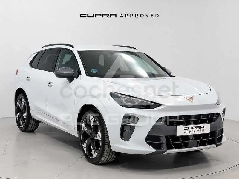 2025 Cupra Other