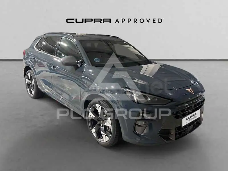 2025 Cupra Other