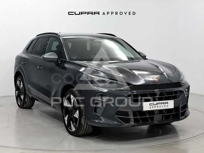 2025 Cupra Other
