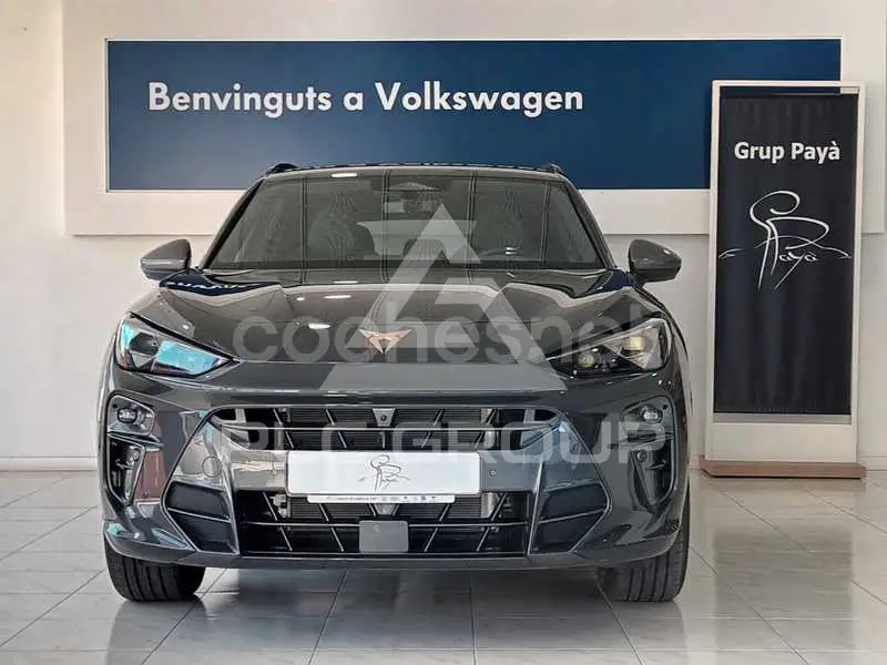 2025 Cupra Other