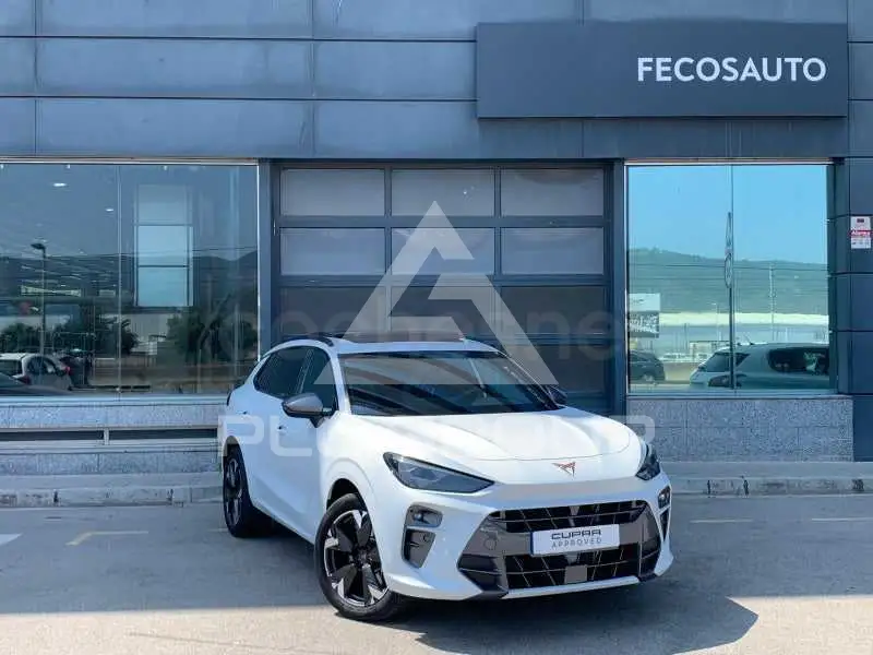 2025 Cupra Other