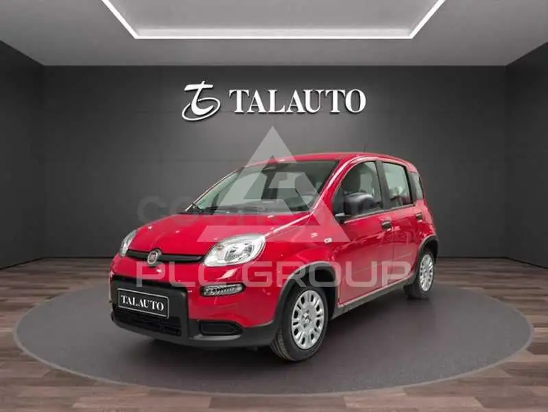 2025 Fiat Panda