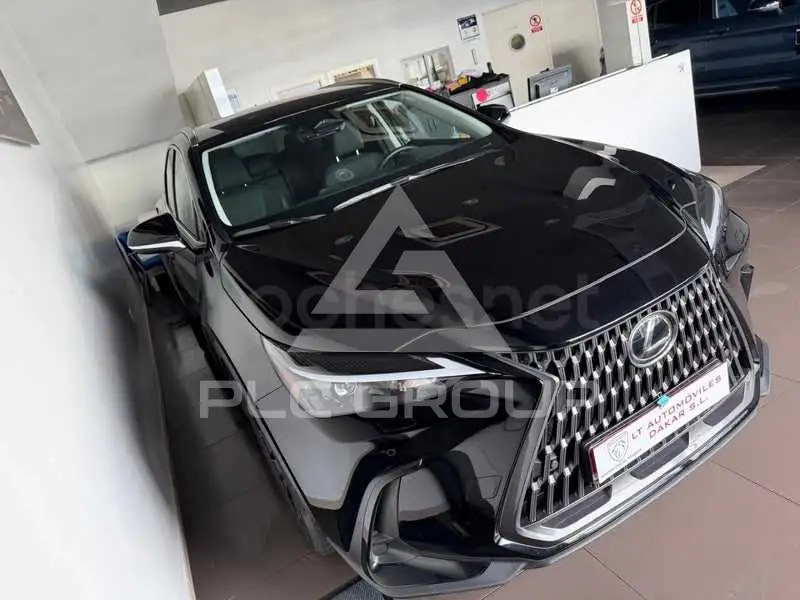 2025 Lexus NX