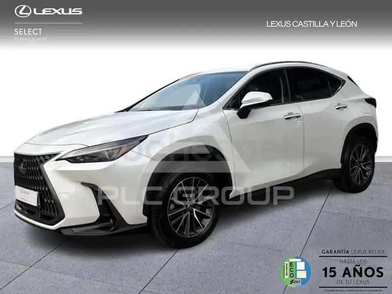 2025 Lexus NX