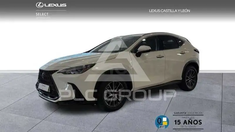 2025 Lexus NX