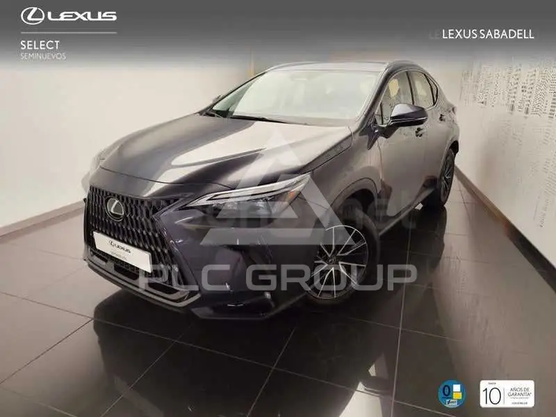 2025 Lexus NX