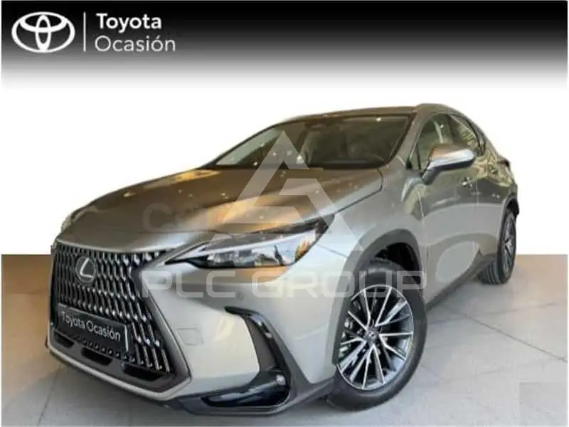 2025 Lexus NX