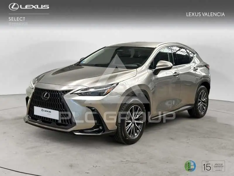 2025 Lexus NX