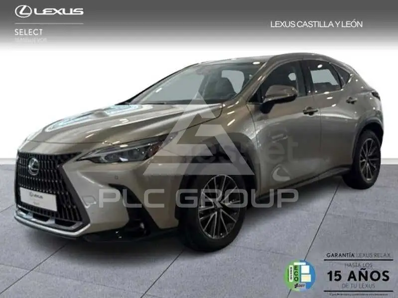 2025 Lexus NX