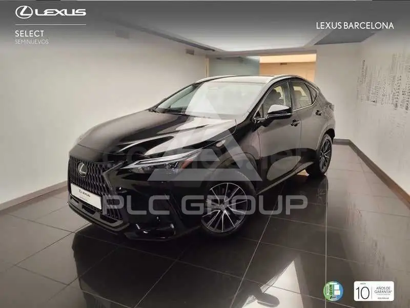 2025 Lexus NX