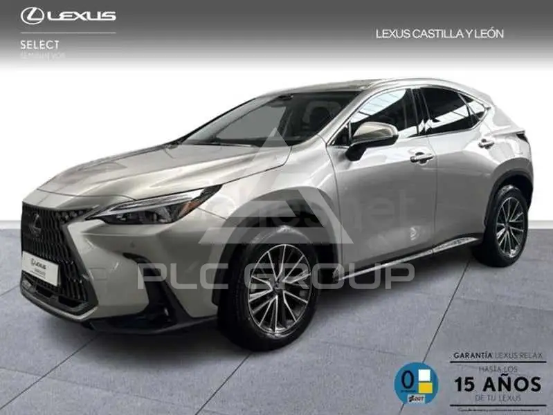 2025 Lexus NX