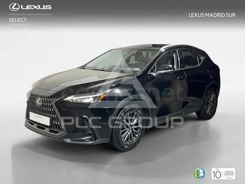 2025 Lexus NX