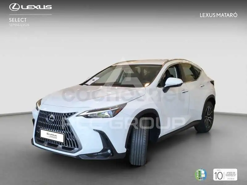 2025 Lexus NX