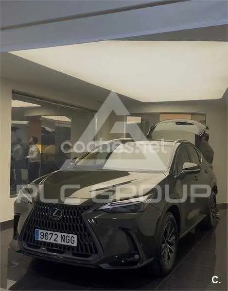 2025 Lexus NX