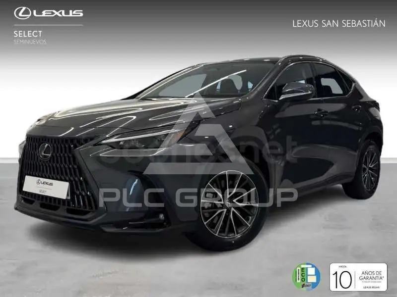 2025 Lexus NX