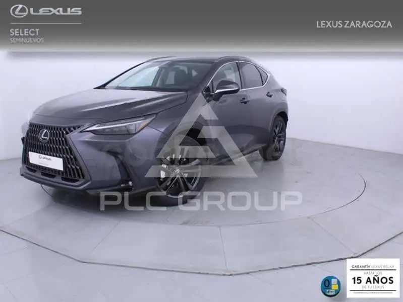 2025 Lexus NX