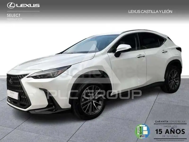 2025 Lexus NX