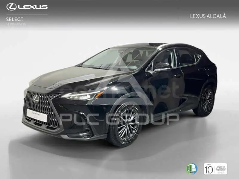 2025 Lexus NX