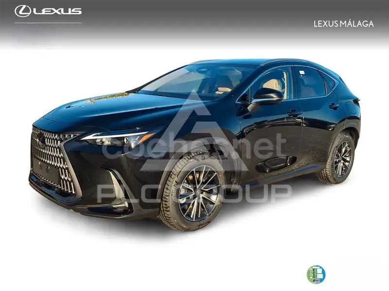 2025 Lexus NX
