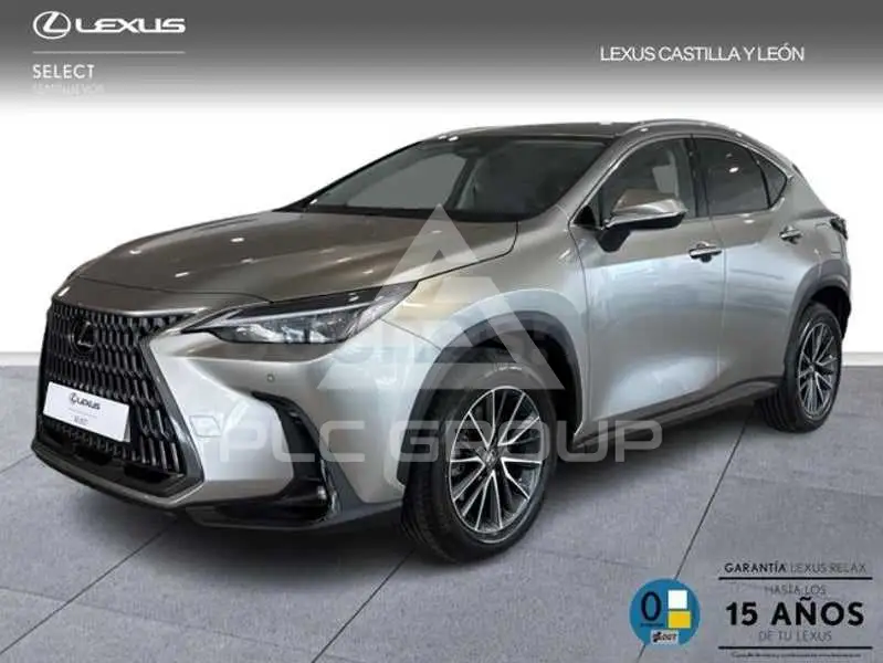 2025 Lexus NX