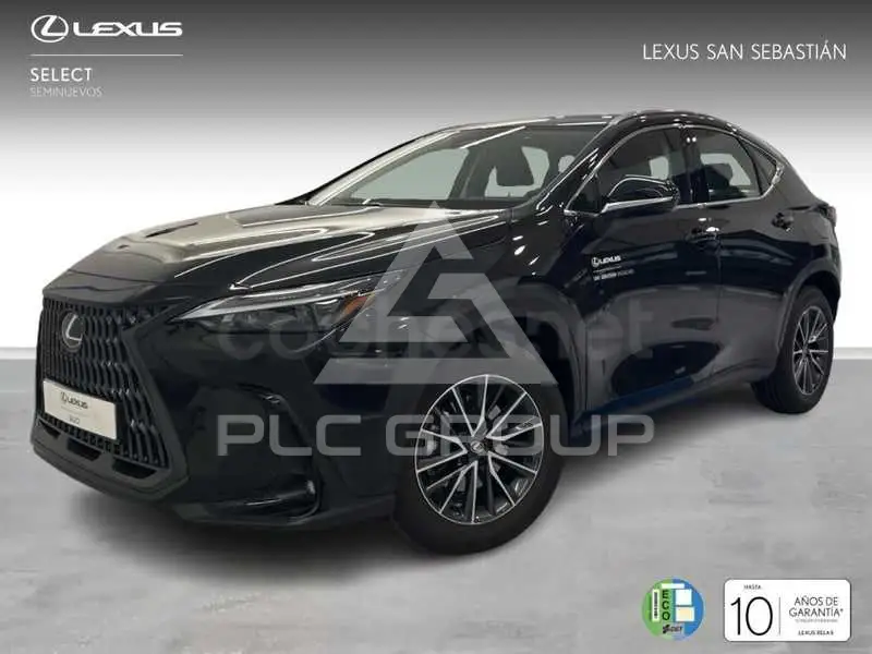 2025 Lexus NX
