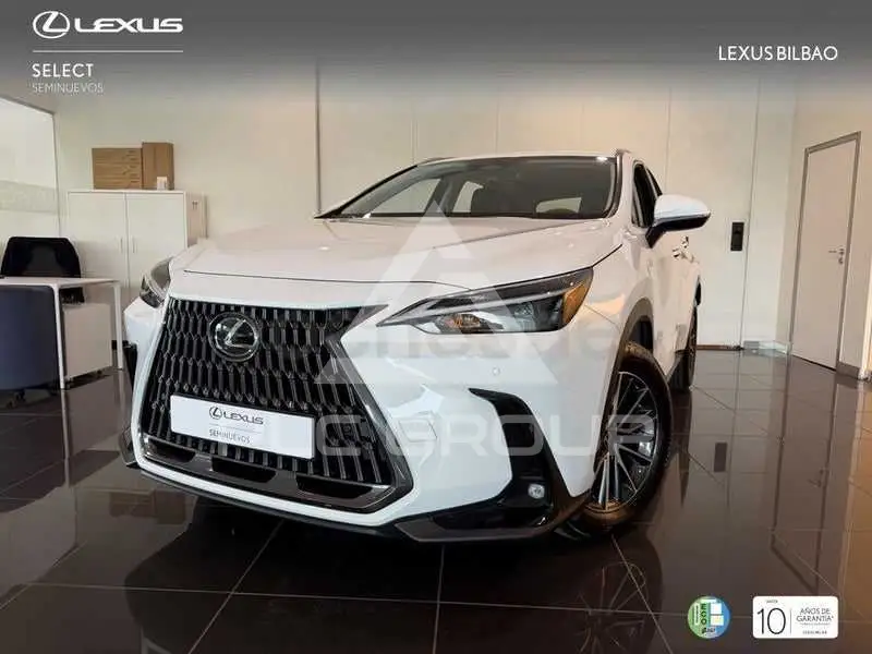 2025 Lexus NX