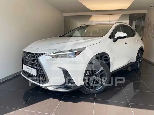 2025 Lexus NX