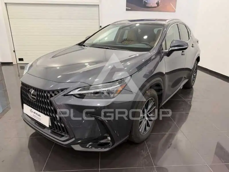 2025 Lexus NX