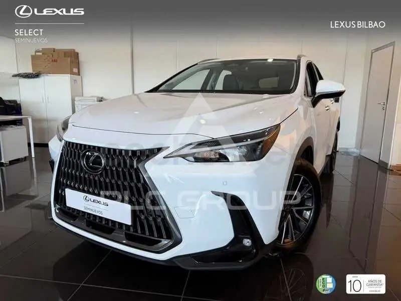 2025 Lexus NX