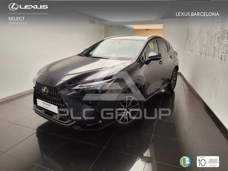 2025 Lexus NX