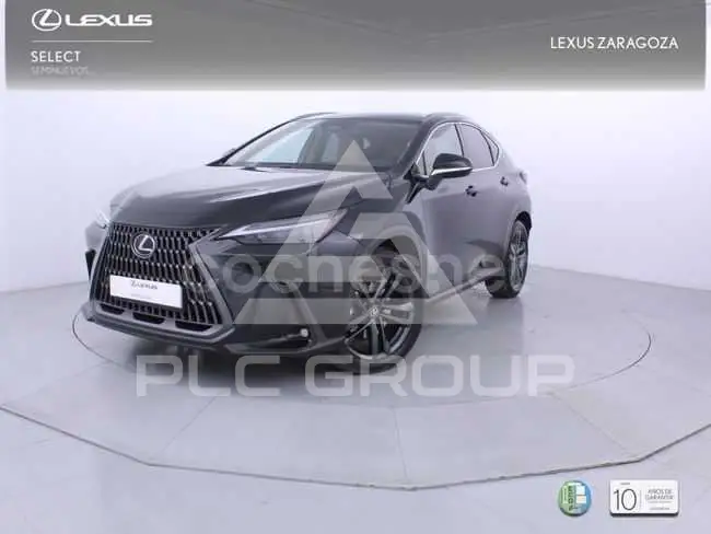 2025 Lexus NX