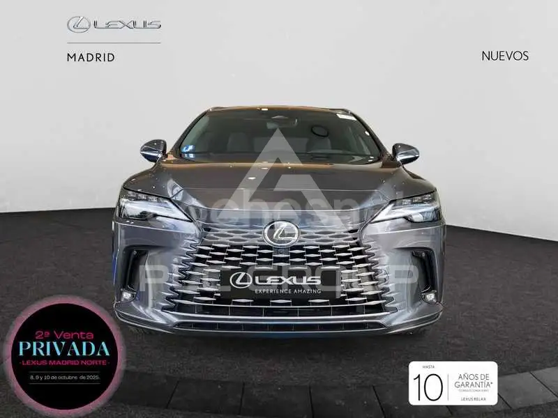 2025 Lexus RX