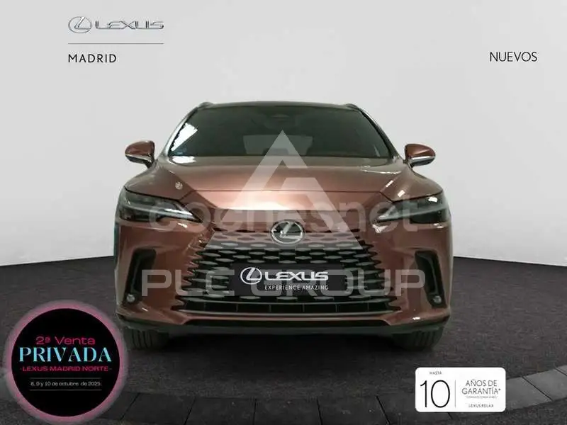 2025 Lexus RX