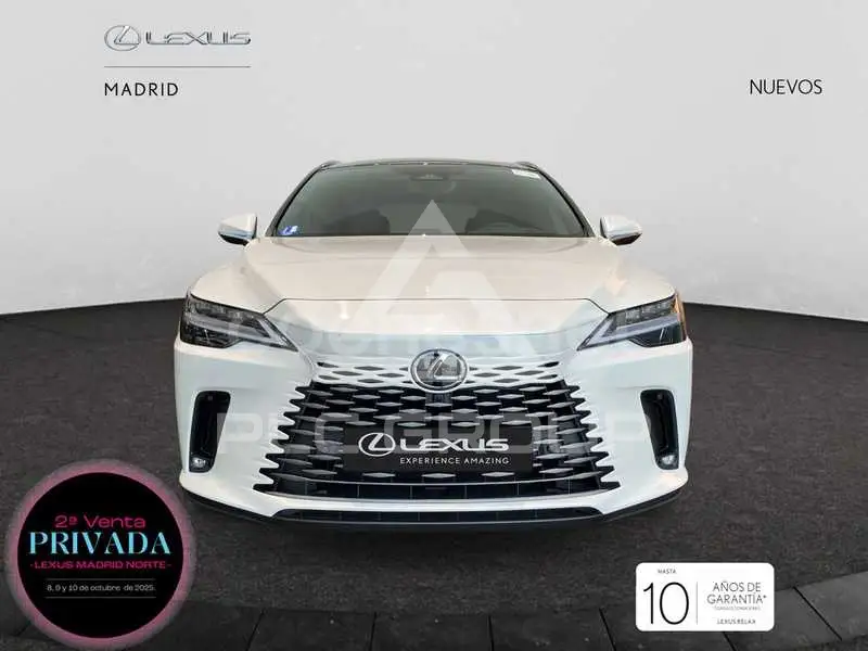 2025 Lexus RX