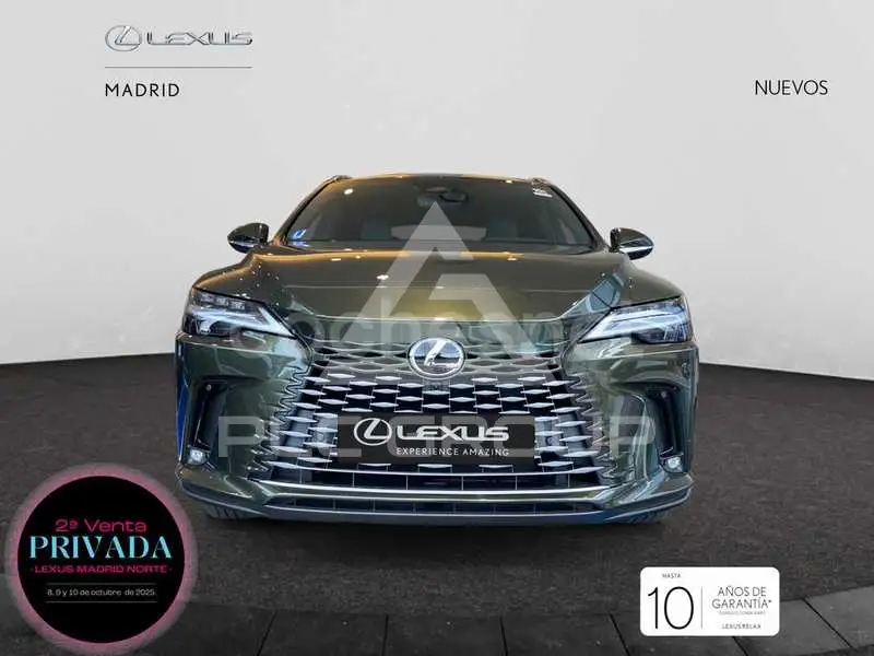 2025 Lexus RX
