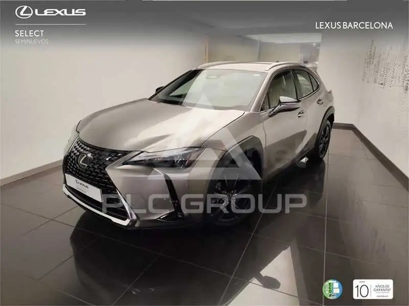 2025 Lexus UX