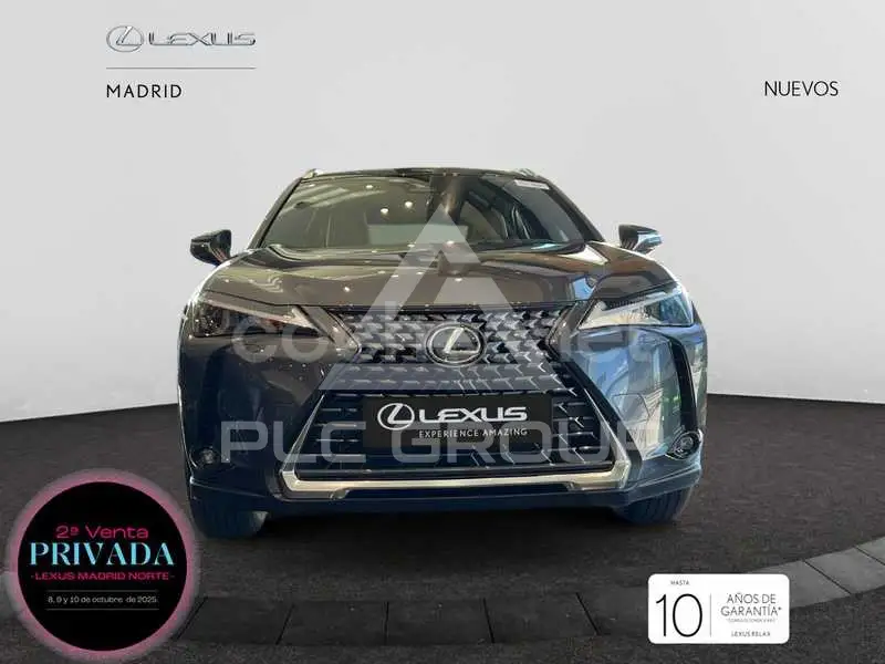 2025 Lexus UX