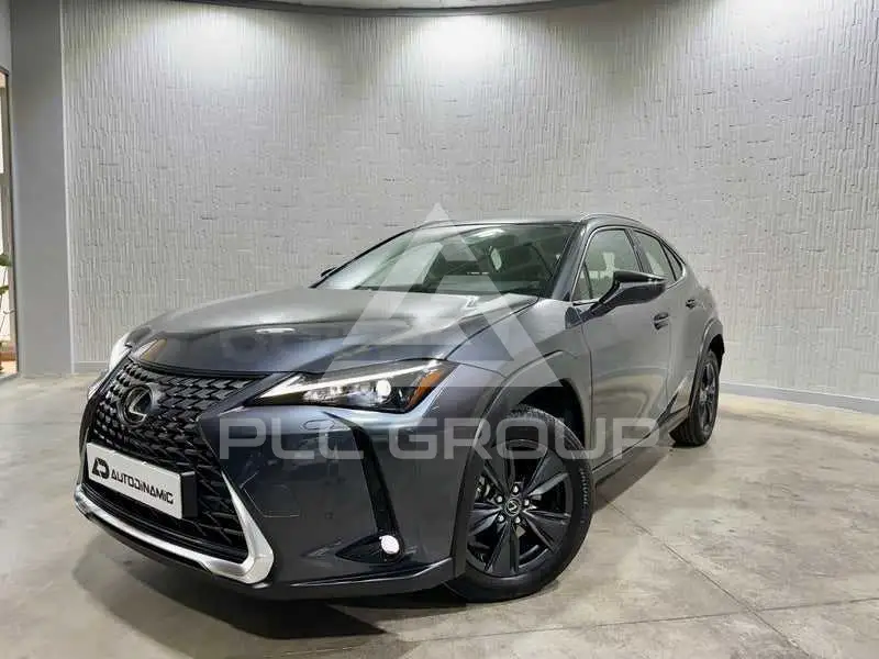 2025 Lexus UX