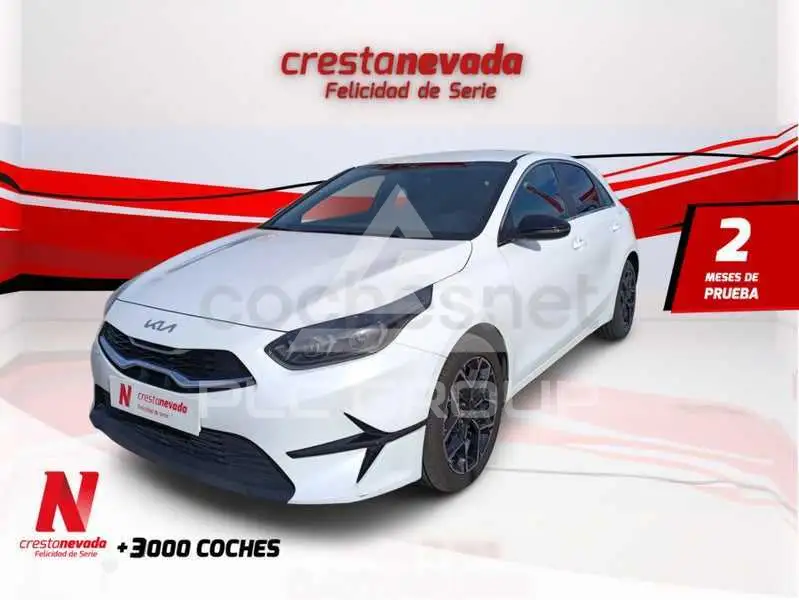 2025 KIA Ceed