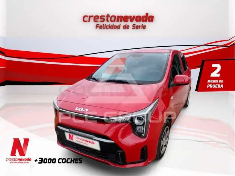 2025 KIA Picanto