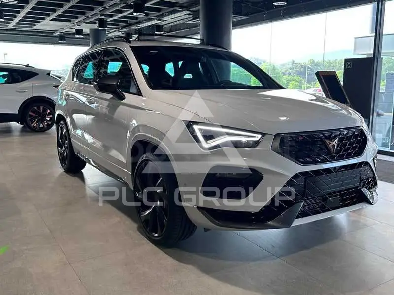 2026 Cupra Other