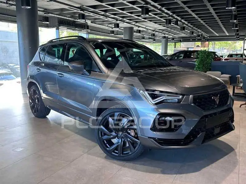 2026 Cupra Other