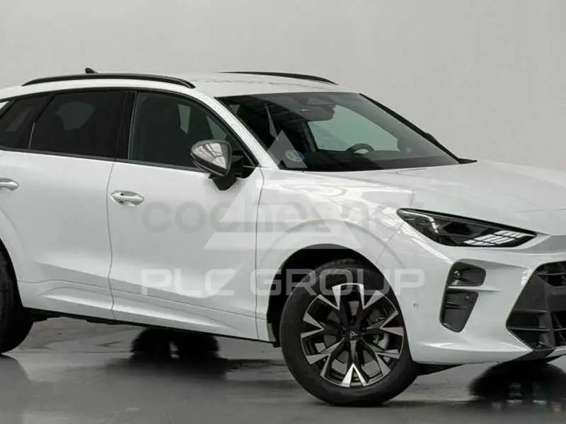 2026 Cupra Other
