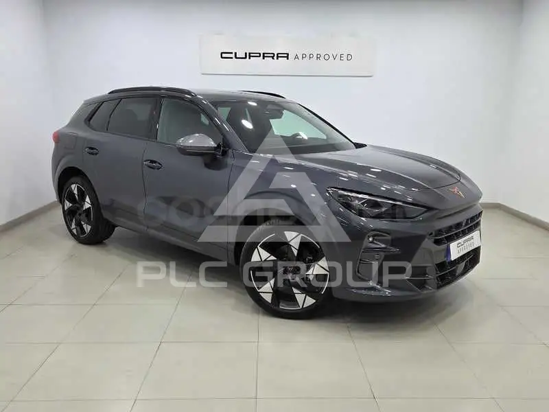 2026 Cupra Other