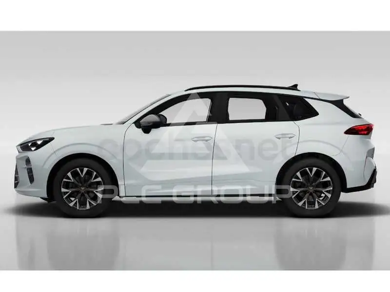 2026 Cupra Other